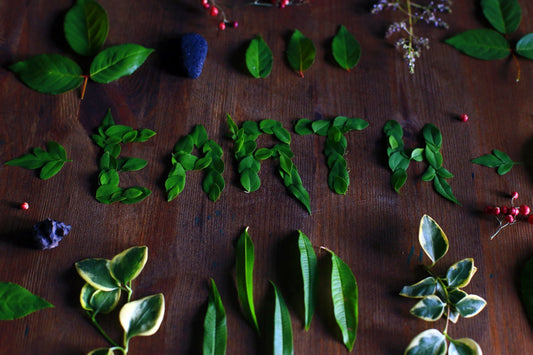 Beth's Thoughts on Diet and Balanced Skin | Hippie Skin