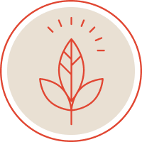 files/noun-high-fiber-food-2202197_1.png
