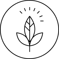 files/noun-high-fiber-food-2202197_1_1.png